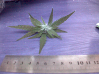 vlcsnap-00018.png vlcsnap-00018.png