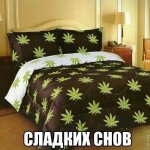 177377112.p.800.800.0.jpg