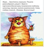 69544596.f.800.800.0.jpg