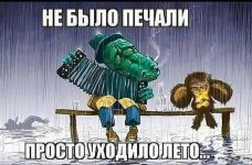 69561379.f.800.800.0.jpg