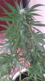 20170709_164956.jpg