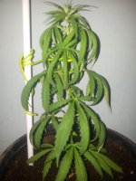 20170709_180113.jpg