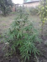 20170710_045138.jpg