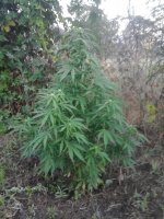 20170710_045203.jpg