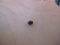 IMG_2319.JPG