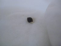 IMG_2320.JPG