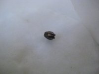 IMG_2322.JPG