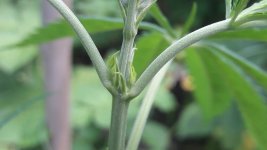 20170712_105536.jpg