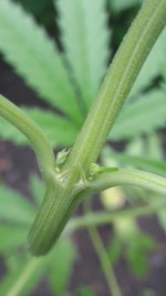 20170712_105246.jpg