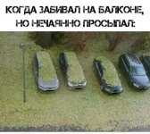 177881061.p.800.800.0.jpg