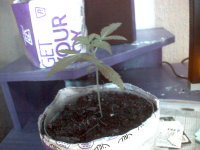 vlcsnap-00029.png vlcsnap-00029.png