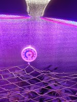 ^27FA987C8B18F3FF120563CD8B3C073D0AF7534A177077A079^pimgpsh_fullsize_distr.jpg