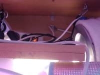 ^40444D5A3355463454D8D8F5651F3294756586C246B5A81F78^pimgpsh_fullsize_distr.jpg