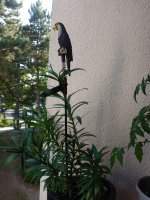 ^5ED07F2B8BB6F941D34838FC99F793987E143970F6755E1AE9^pimgpsh_fullsize_distr.jpg