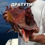 imageсмит.jpg