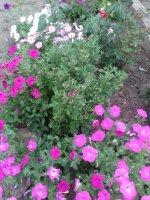 20170713_181217.jpg