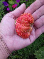 20170713_181315.jpg