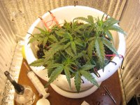 IMG_2345.JPG