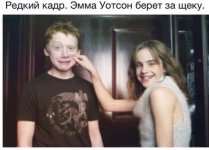 178225305.p.800.800.0.jpg