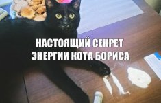 69638952.f.800.800.0.jpg