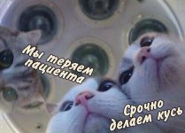 178302182.p.800.800.0.jpg