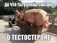 imageзщшгнеку.jpg