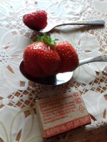 20170716_185031.jpg