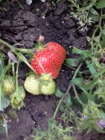 20170716_175803.jpg