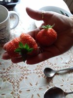 20170716_185044.jpg