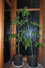 DSC_1094.JPG