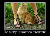 178597349.p.800.800.0.jpg