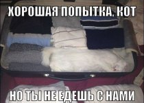 69683543.f.800.800.0.jpg