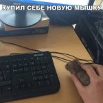 178617988.p.800.800.0.jpg
