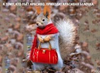 178519056.p.800.800.0.jpg