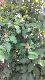 P_20170716_153413.jpg