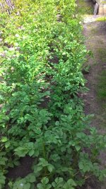 P_20170716_153215.jpg