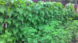 P_20170716_153548.jpg