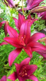 P_20170716_153801.jpg