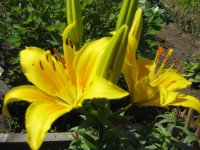 IMG_0733.JPG