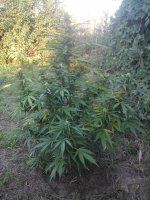 20170720_054856.jpg
