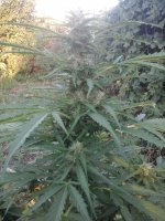 20170720_054922.jpg