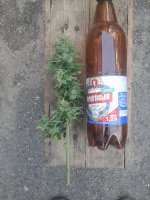 20170720_055120.jpg