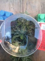 20170720_060317.jpg