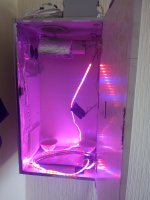 IMG_20170719_135001.jpg