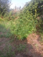 20170723_072937.jpg