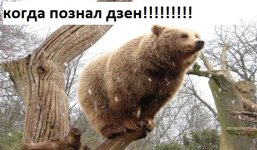 imageмммммпеуц.jpg