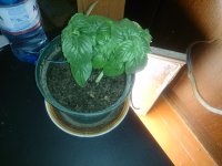 DSC_0111.JPG