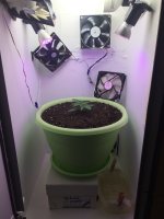 20170726_073224306_iOS.jpg