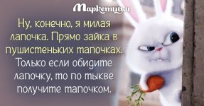 69797157.f.800.800.0.jpg
