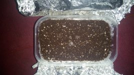 IMG_20170727_104428.jpg